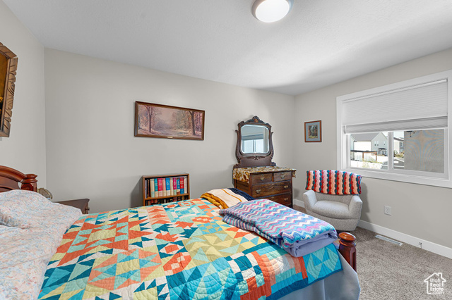 Photo 18 - 1107 W 1150 South, Springville UT 84663