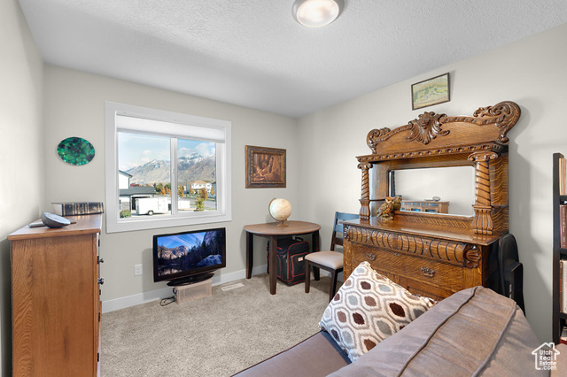 Photo 19 - 1107 W 1150 South, Springville UT 84663