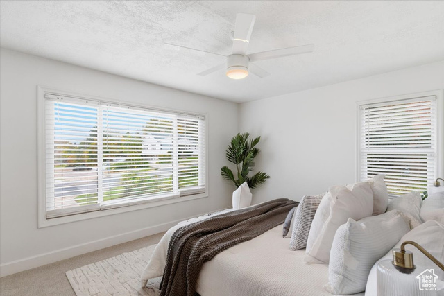 Photo 11 for MLS #2118504 at 1419 36th St