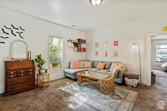 Photo 21 for MLS #2118505 at 1175 S 300 East