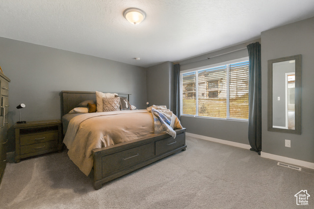 Photo 14 for MLS #2118507 at 2248 N Canal View Ln