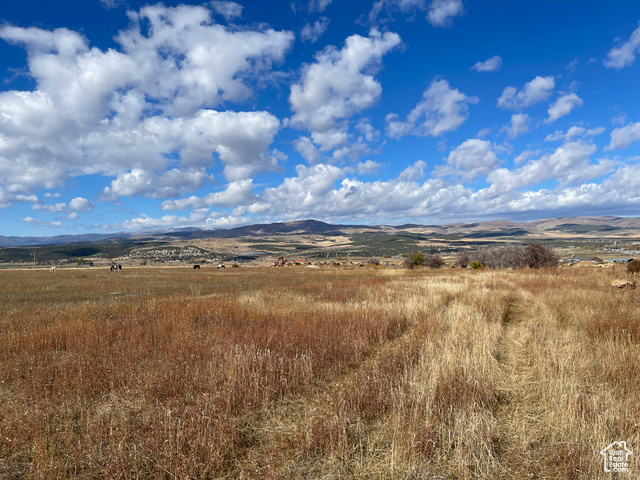 11690 E 22700 N, Fairview UT 84629