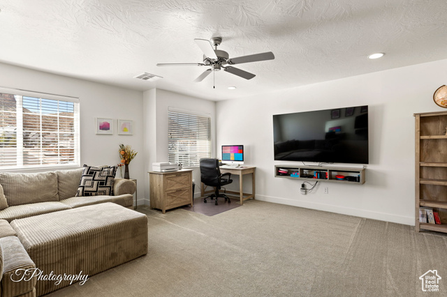 Photo 18 for MLS #2118531 at 3313 E Maple Mountain Dr