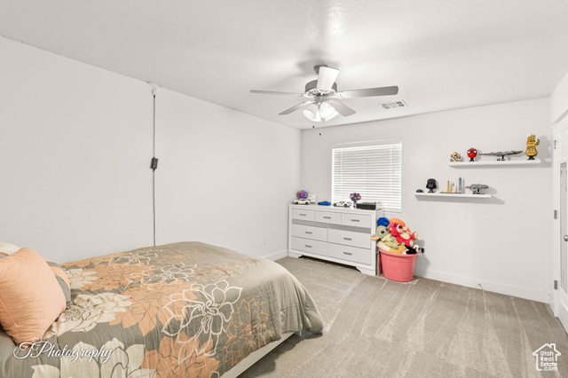 Photo 20 for MLS #2118531 at 3313 E Maple Mountain Dr
