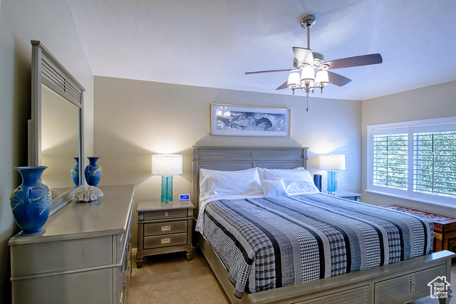 Photo 18 for MLS #2118583 at 7943 S Evergreen Pine Ln