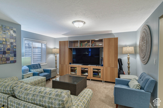 Photo 9 for MLS #2118583 at 7943 S Evergreen Pine Ln