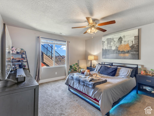 Photo 14 for MLS #2118620 at 8169 S Flaxton Ln