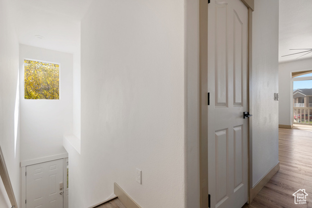 Photo 20 for MLS #2118640 at 4782 W Squatter Cv