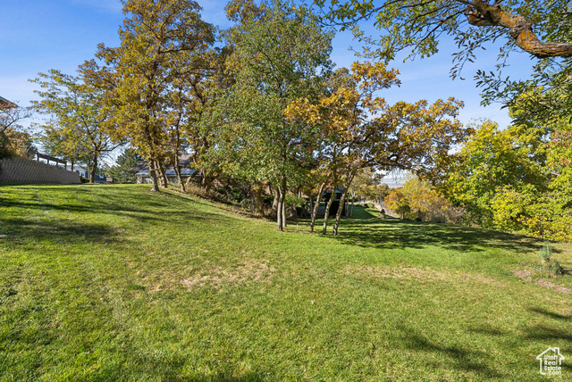Photo 58 for MLS #2118644 at 12 S Angela Way