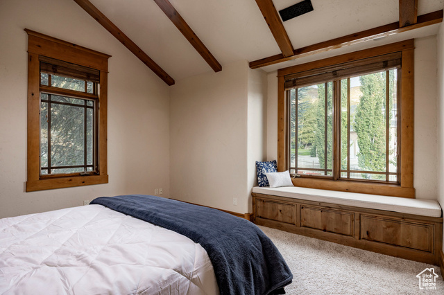 Photo 48 for MLS #2118648 at 1422 E 155 South