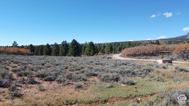 Photo 75 for MLS #2118661 at 75 W Dude Ranch Rd