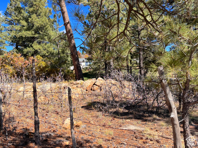 Photo 46 for MLS #2118661 at 75 W Dude Ranch Rd
