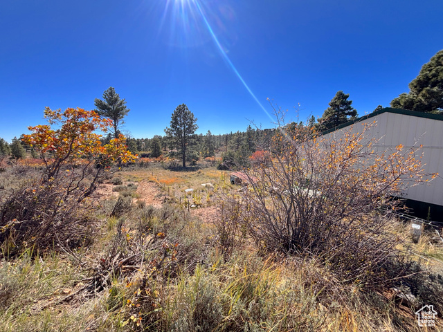 Photo 58 for MLS #2118661 at 75 W Dude Ranch Rd