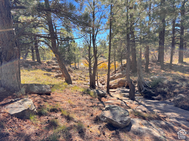 Photo 41 for MLS #2118661 at 75 W Dude Ranch Rd
