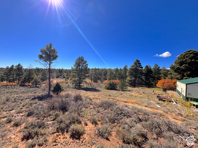 Photo 74 for MLS #2118661 at 75 W Dude Ranch Rd