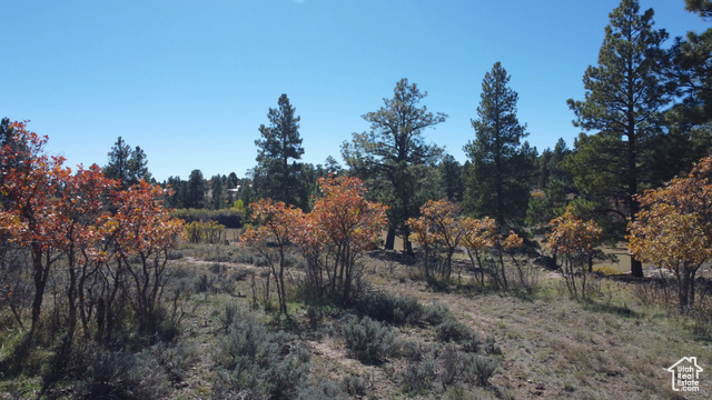Photo 60 for MLS #2118661 at 75 W Dude Ranch Rd