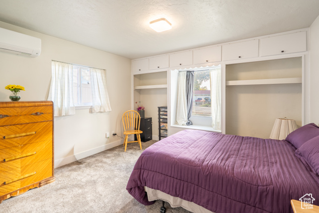 Photo 18 for MLS #2118681 at 249 N 100 West
