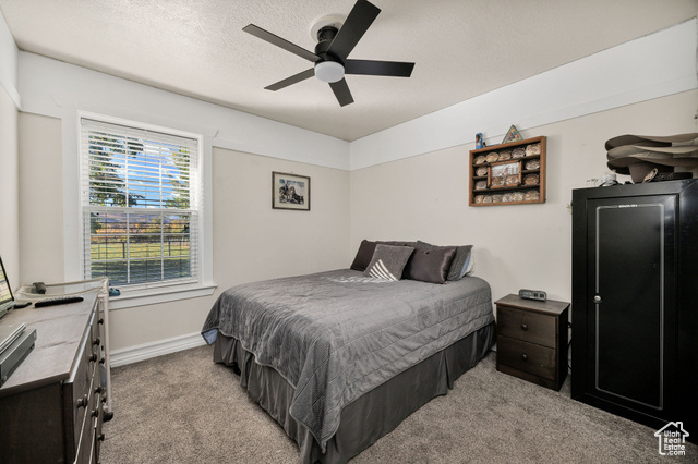 Photo 22 for MLS #2118702 at 883 E 11000 South