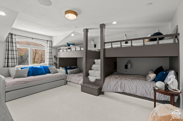 Photo 54 for MLS #2118715 at 1265 S Eagle Nest Dr
