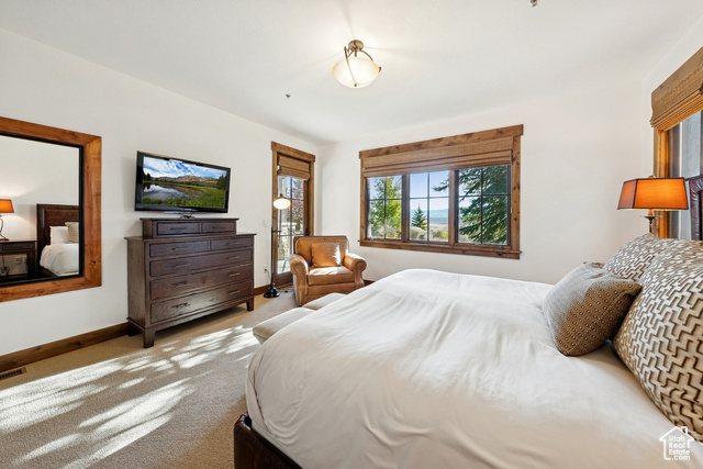 Photo 39 for MLS #2118723 at 8272 Western Sky