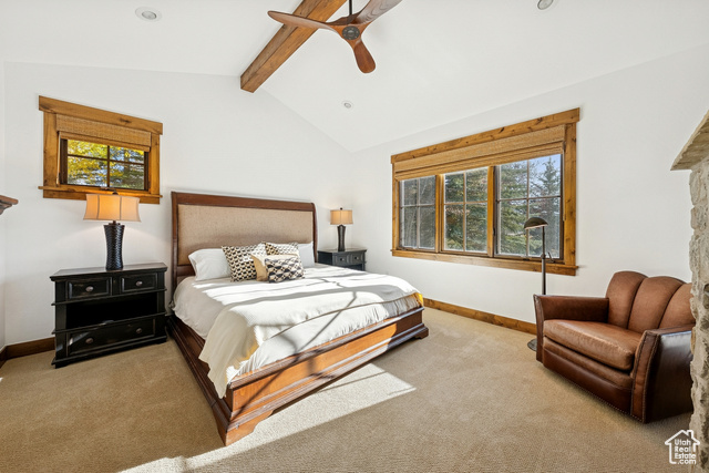 Photo 30 for MLS #2118723 at 8272 Western Sky