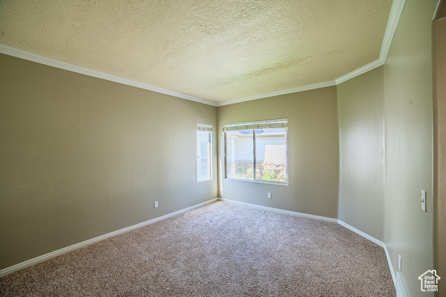 Photo 6 for MLS #2118754 at 898 E Tendoy Ct
