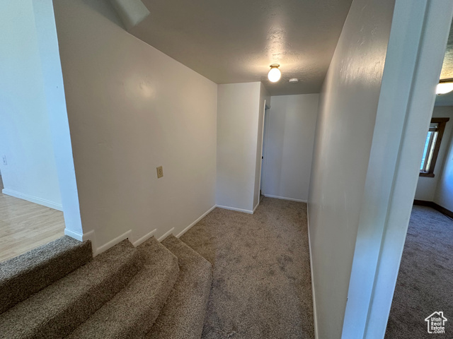 Photo 14 for MLS #2118757 at 582 7 West