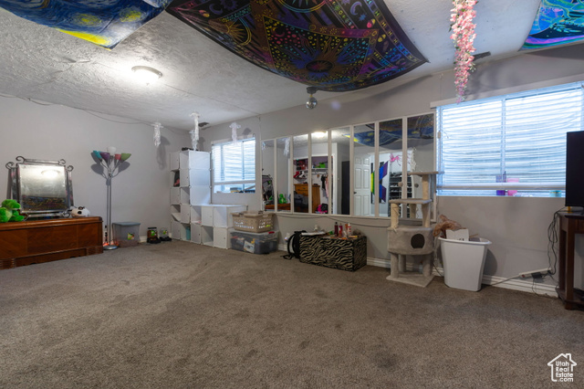 Photo 29 for MLS #2118763 at 2439 W Bridle Oak Dr