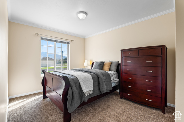 Photo 21 for MLS #2118787 at 10182 S Chattel Cir