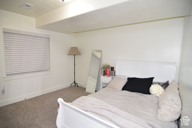 Photo 27 for MLS #2118790 at 1146 S 50 East