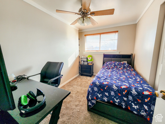 Photo 16 for MLS #2118808 at 3639 W Jasmine St