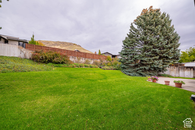 Photo 31 for MLS #2118813 at 209 E Dorchester Dr