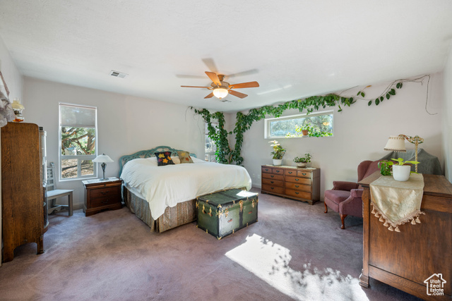 Photo 12 for MLS #2118818 at 1535 W Mcintosh Cir