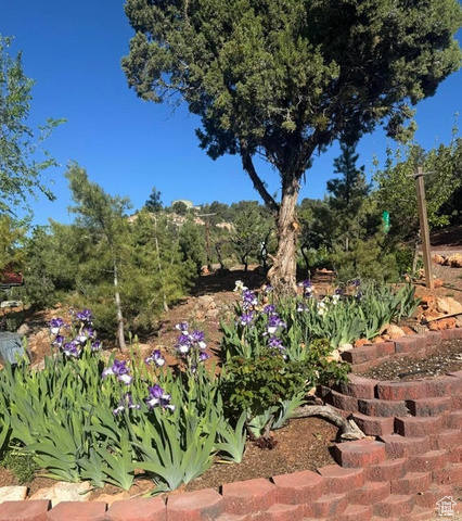 Photo 37 for MLS #2118823 at 370 E Foothill Cir
