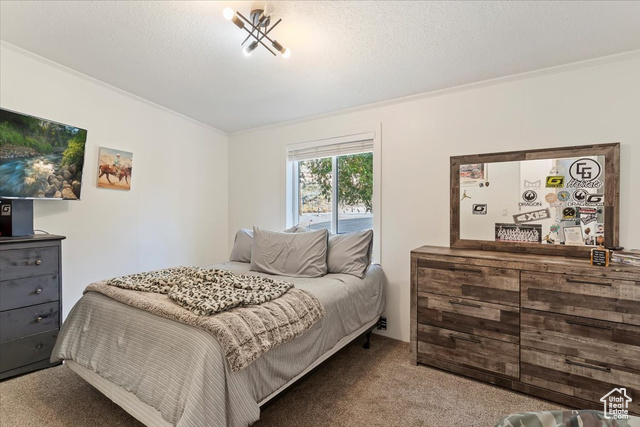 Photo 10 for MLS #2118854 at 2301 W Old Highway Rd