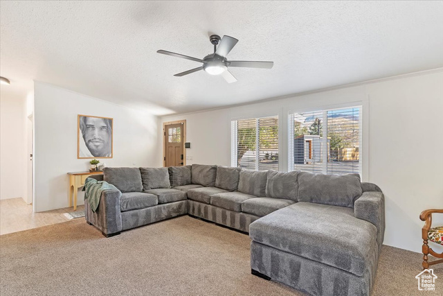 Photo 4 for MLS #2118854 at 2301 W Old Highway Rd