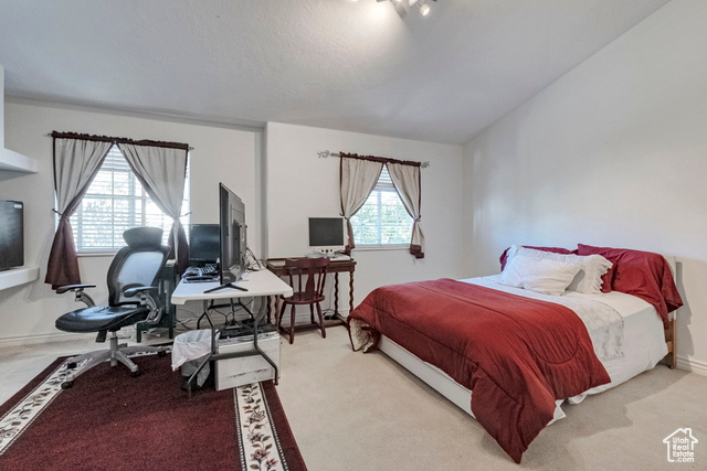 Photo 14 for MLS #2118877 at 9464 S Meckailee Cv