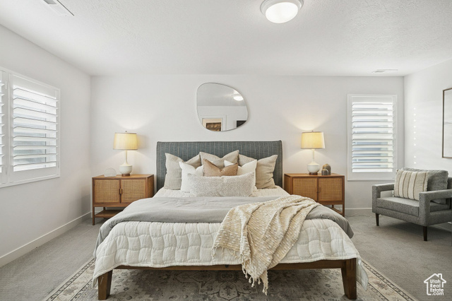 Photo 20 for MLS #2118938 at 313 W Snowberry Dr