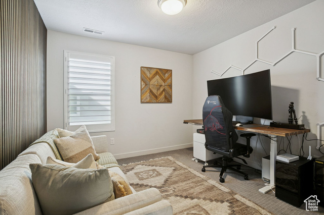 Photo 26 for MLS #2118938 at 313 W Snowberry Dr