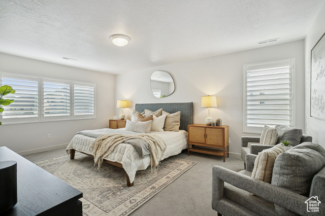 Photo 19 for MLS #2118938 at 313 W Snowberry Dr