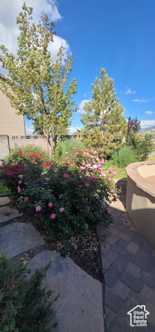 Photo 25 for MLS #2118948 at 2966 N Gemini Ln