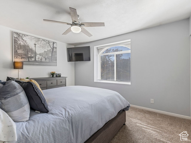 Photo 15 for MLS #2118949 at 6811 S Etruscan Way