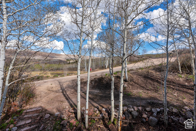 Photo 21 for MLS #2118950 at 10481 E Spring Creek Dr #722