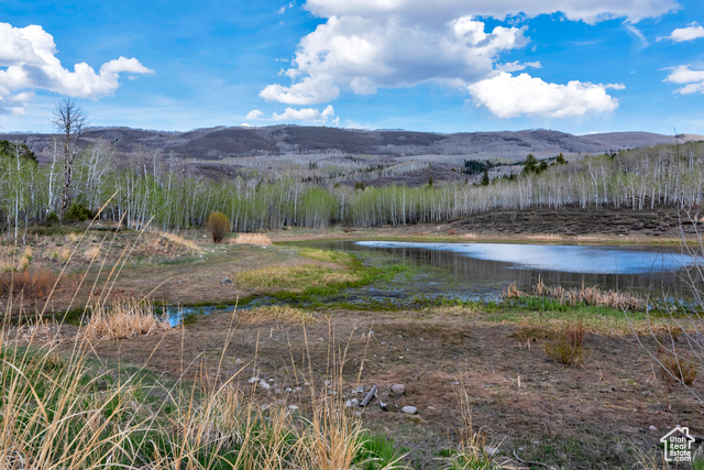 Photo 22 for MLS #2118950 at 10481 E Spring Creek Dr #722