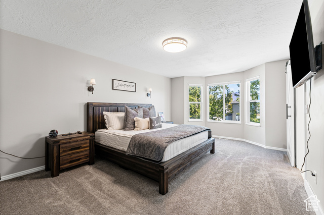 Photo 12 for MLS #2118969 at 228 N Buckingham Dr