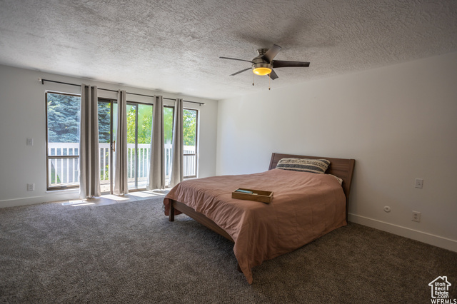Photo 8 for MLS #2118973 at 4424 W Skye Dr