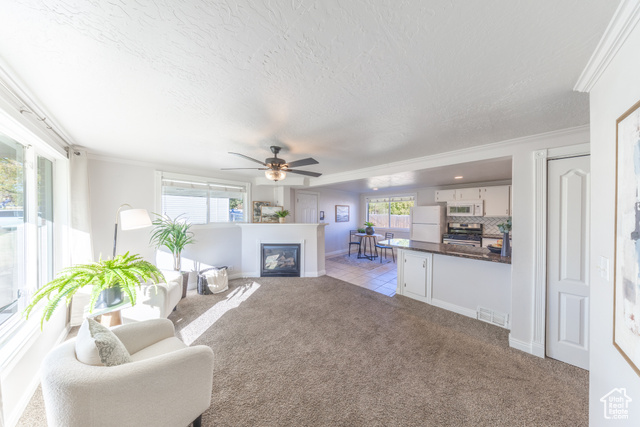 Photo 7 for MLS #2118988 at 1884 N Alder St