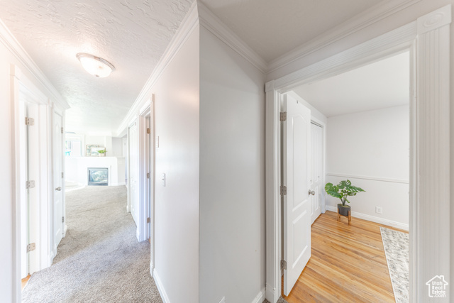 Photo 17 for MLS #2118988 at 1884 N Alder St