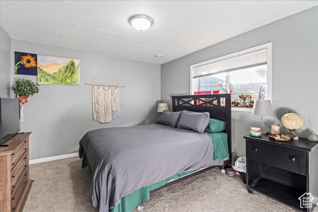 Photo 23 for MLS #2118994 at 3833 S 6325 West