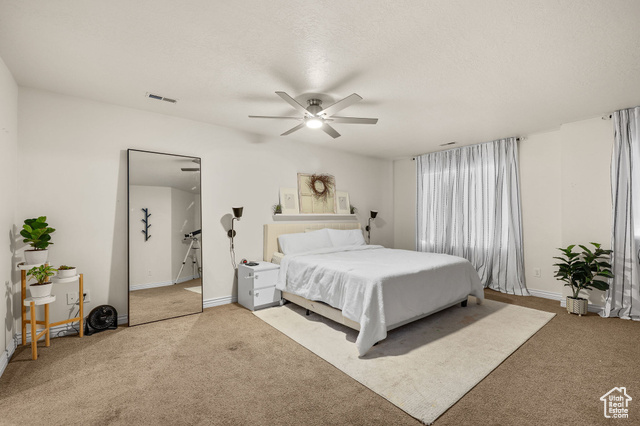 Photo 19 for MLS #2119016 at 2844 S Island Fox Ln